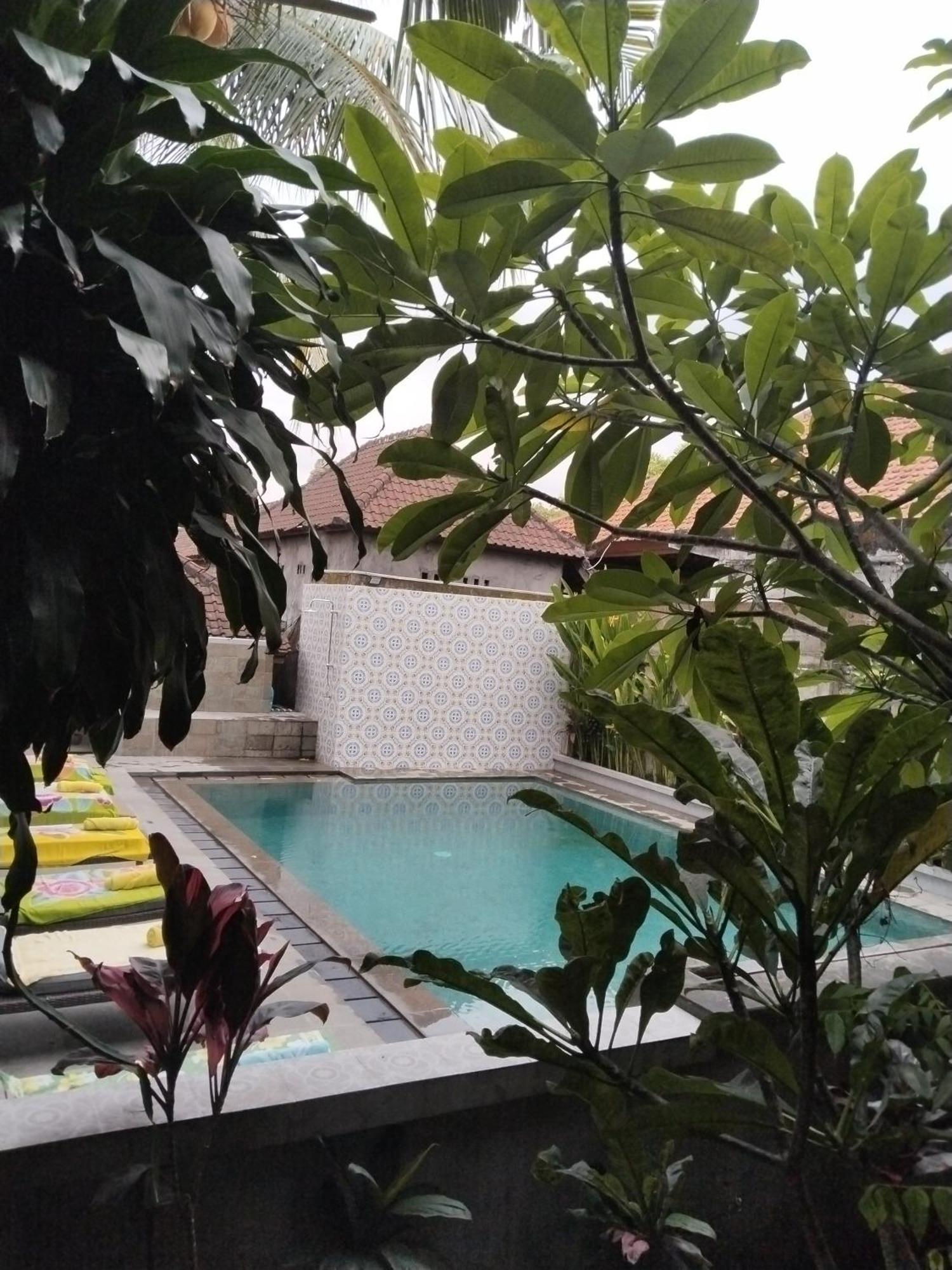 Dewa Bungalows Ubud Extérieur photo