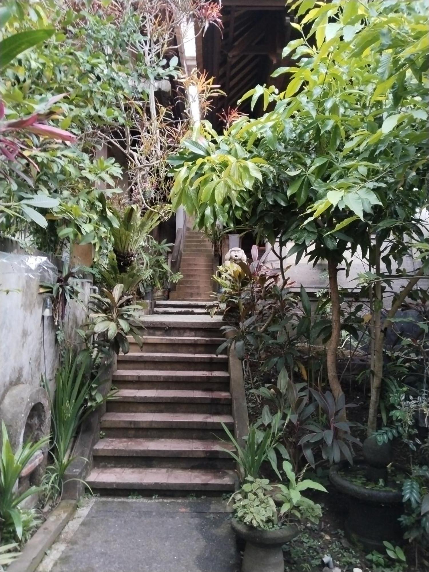 Dewa Bungalows Ubud Extérieur photo