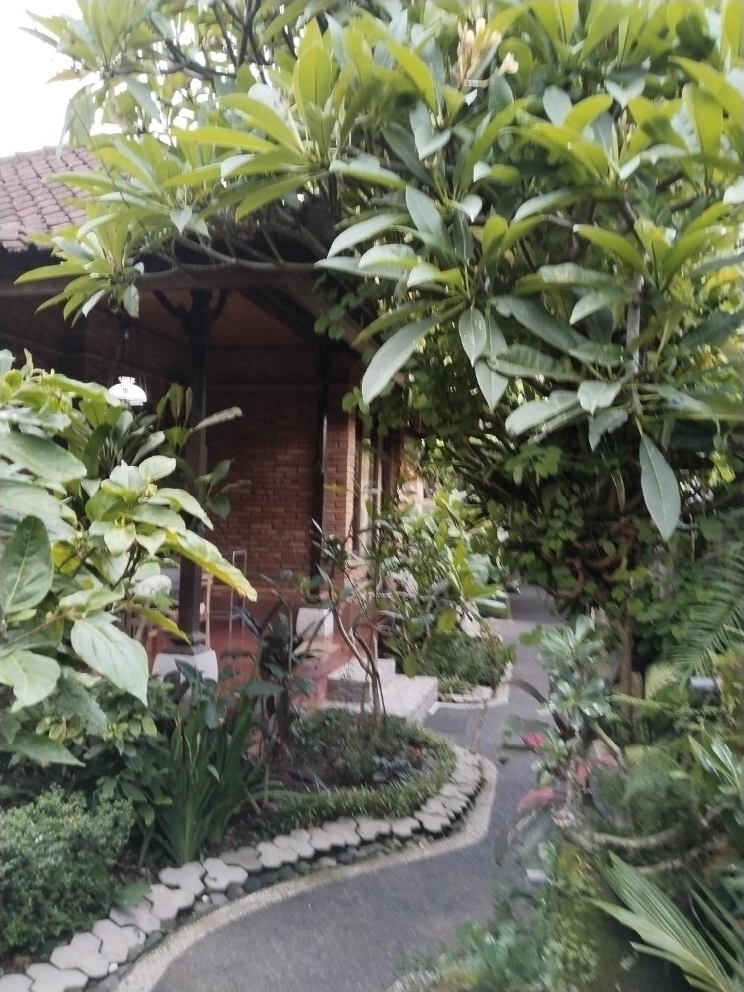 Dewa Bungalows Ubud Chambre photo