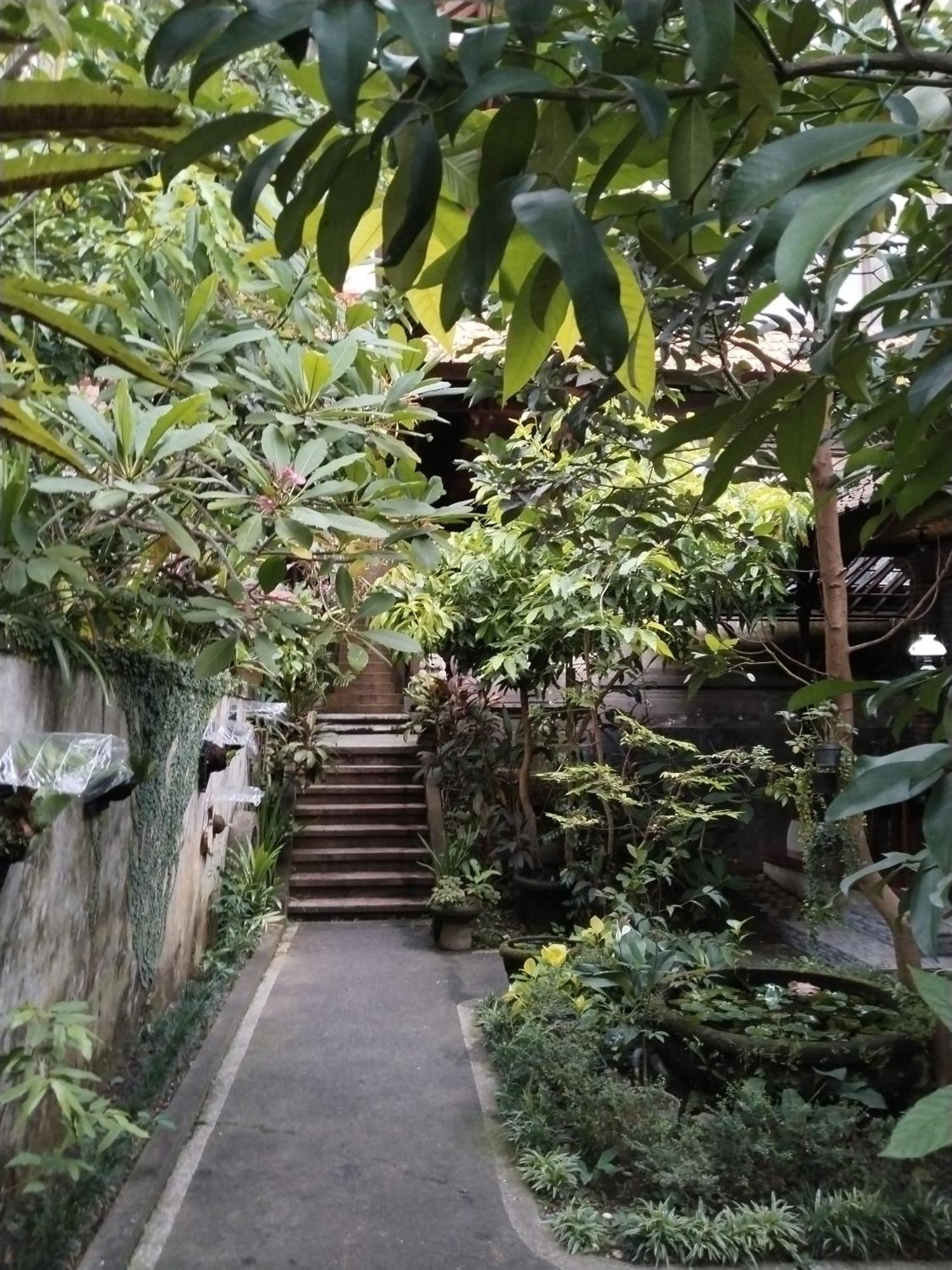 Dewa Bungalows Ubud Chambre photo