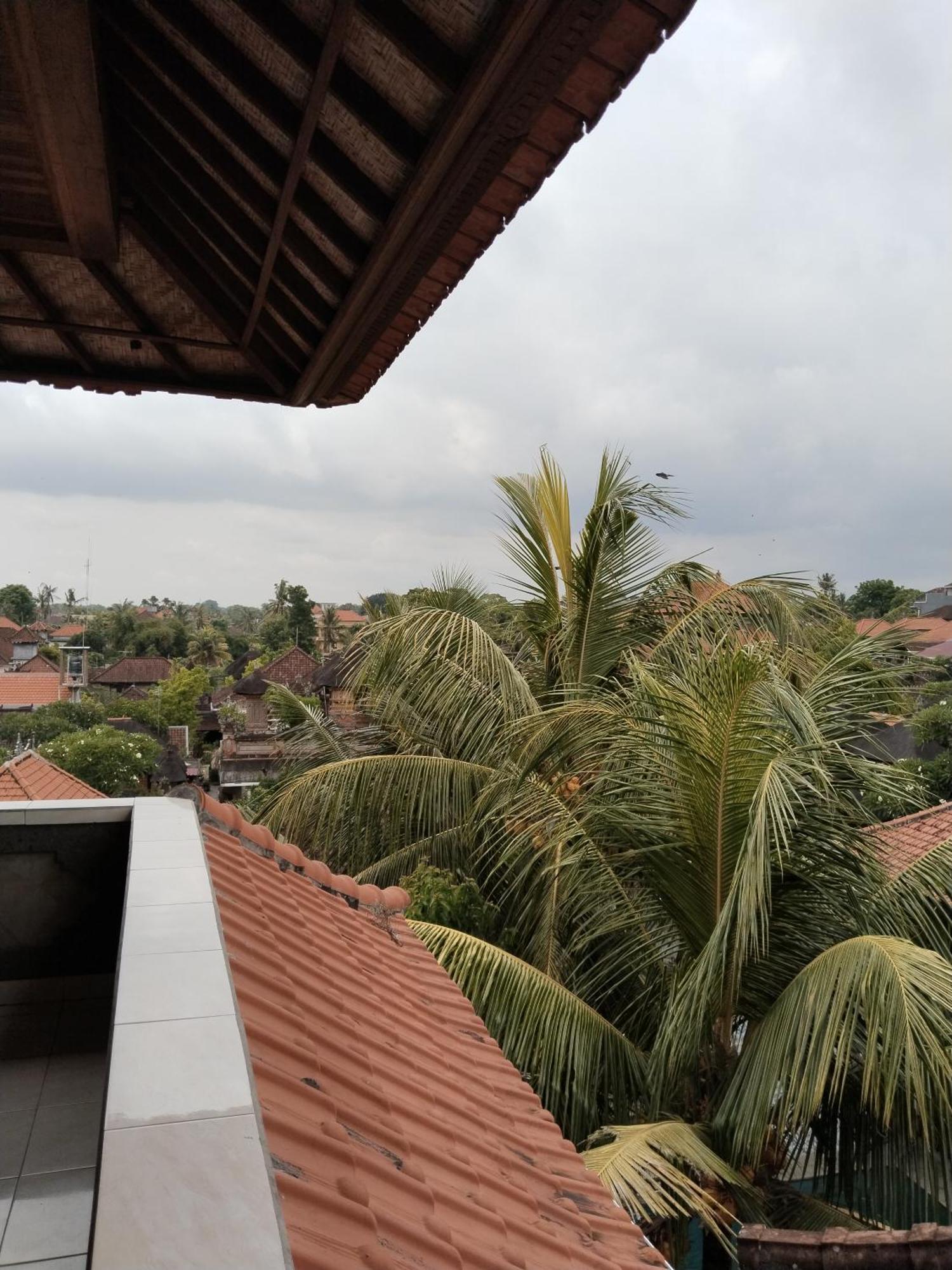 Dewa Bungalows Ubud Chambre photo