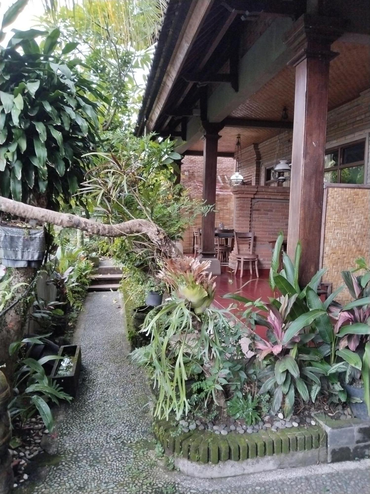 Dewa Bungalows Ubud Chambre photo