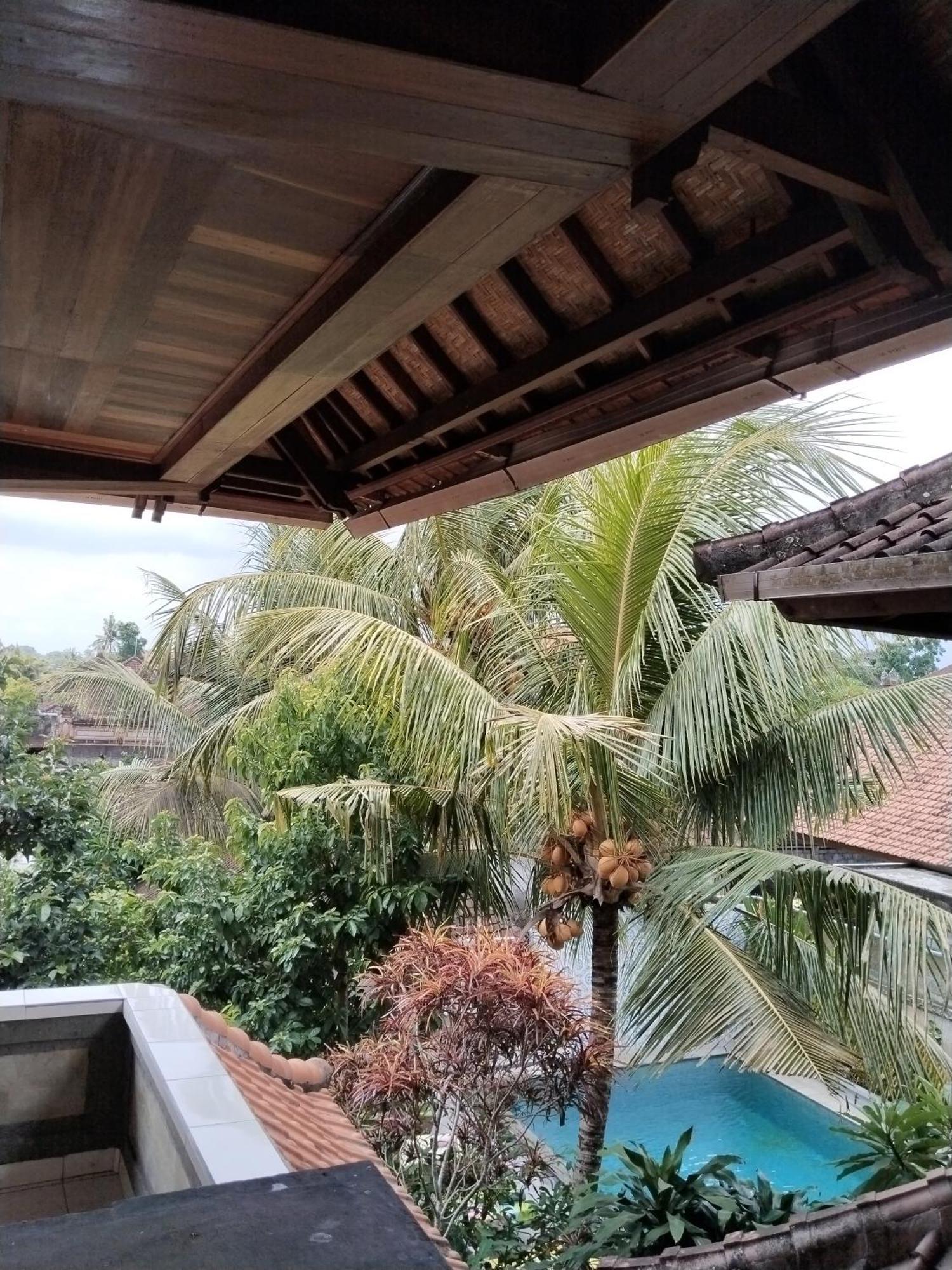 Dewa Bungalows Ubud Chambre photo