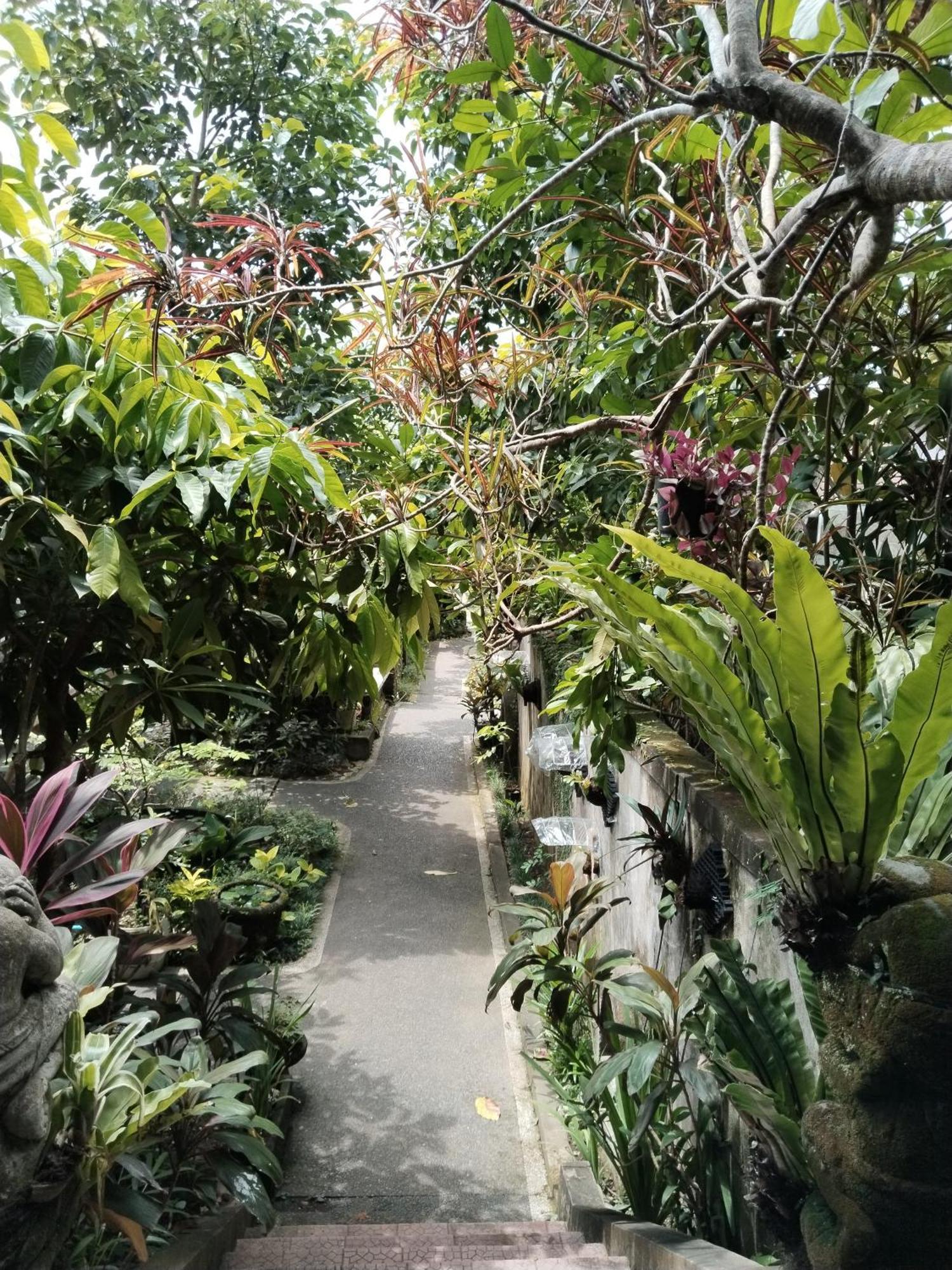 Dewa Bungalows Ubud Chambre photo