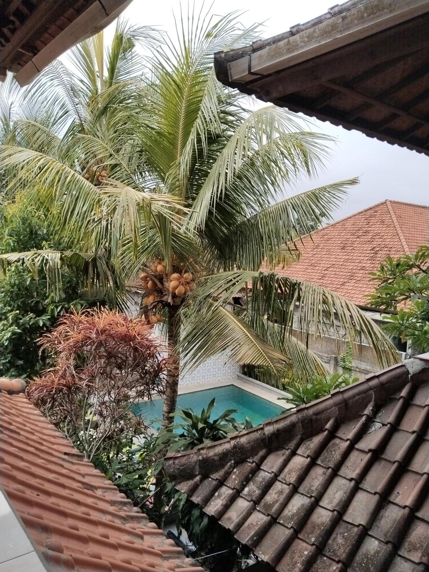 Dewa Bungalows Ubud Chambre photo